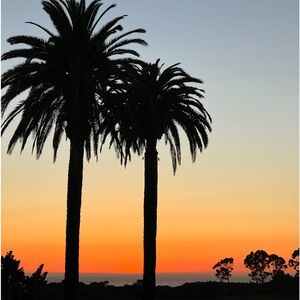 Welcome! Thanks for visiting my storefront! Message w/any questions.